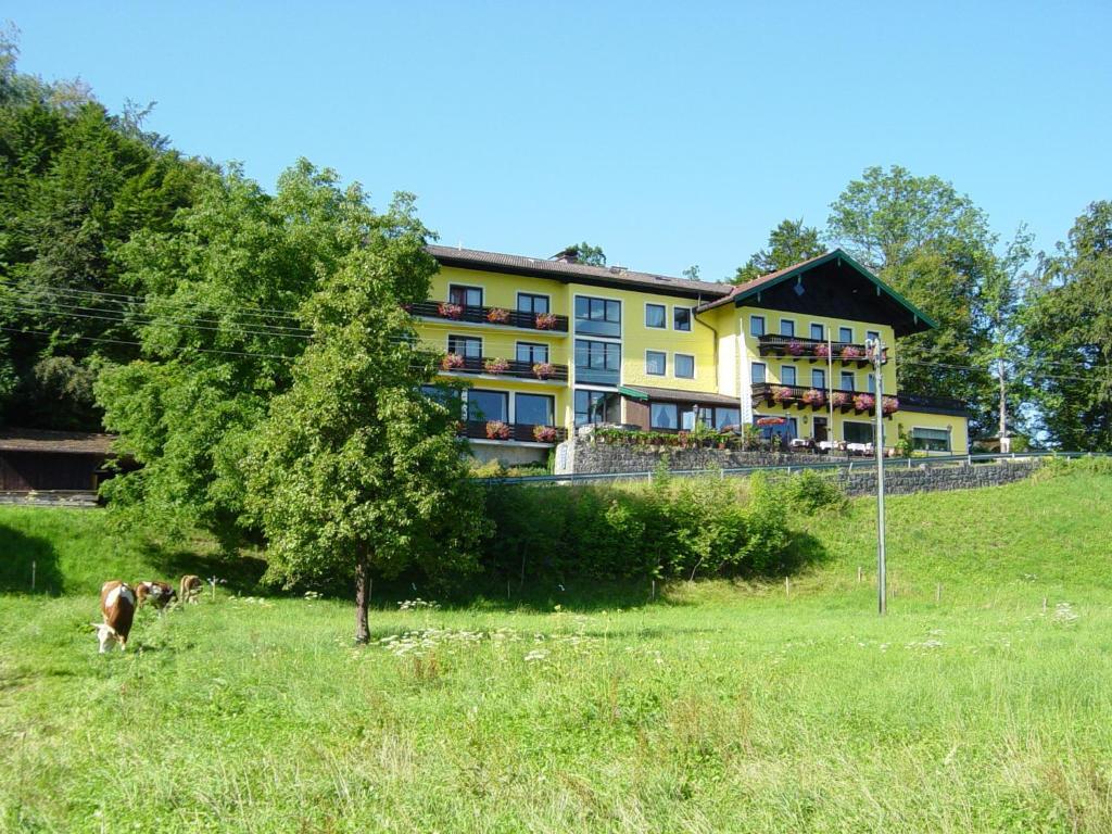 Hotel Zur Schoenen Aussicht Übersee Exterior foto